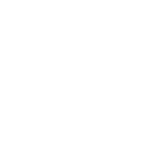 IATA uluslararası havayolu taşımacılığı birliği üyelik logosu